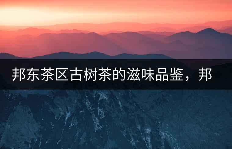 邦東茶區(qū)古樹茶的滋味品鑒，邦東普洱茶特點