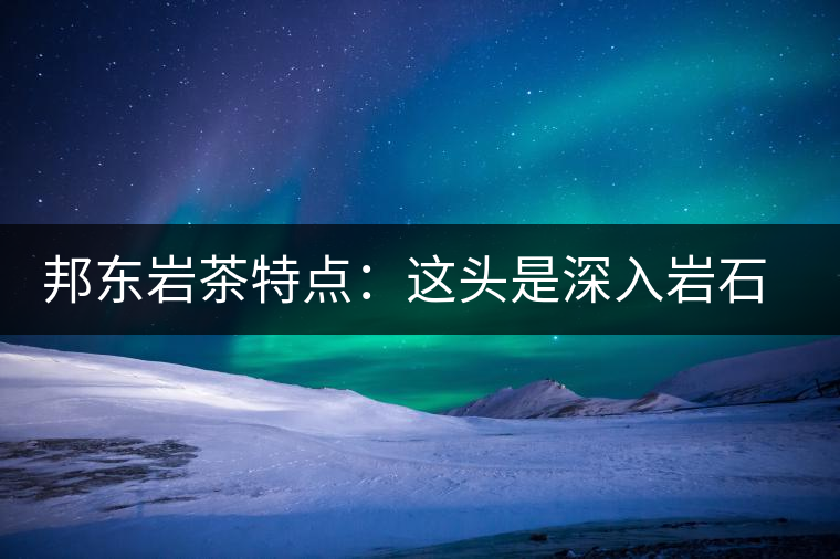 邦東巖茶特點：這頭是深入巖石的根，那頭是臨風飄香的古韻