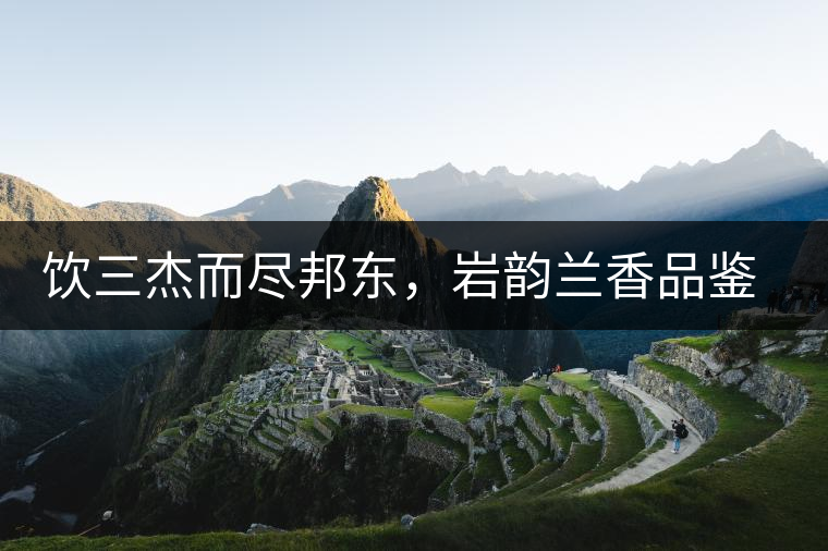 飲三杰而盡邦東，巖韻蘭香品鑒：生于山石上，韻味正當(dāng)