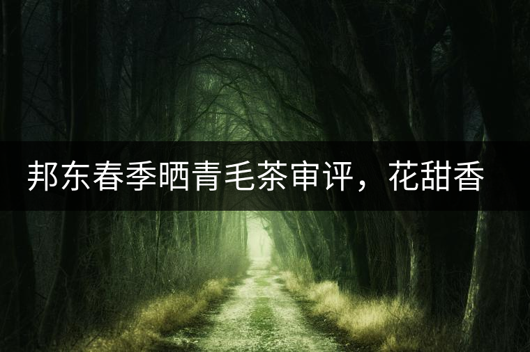 邦東春季曬青毛茶審評，花甜香高揚甘爽潤滑
