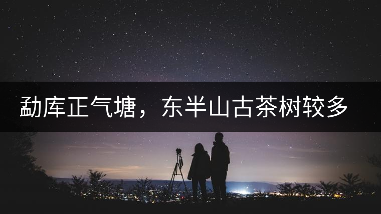 勐庫正氣塘，東半山古茶樹較多的寨子