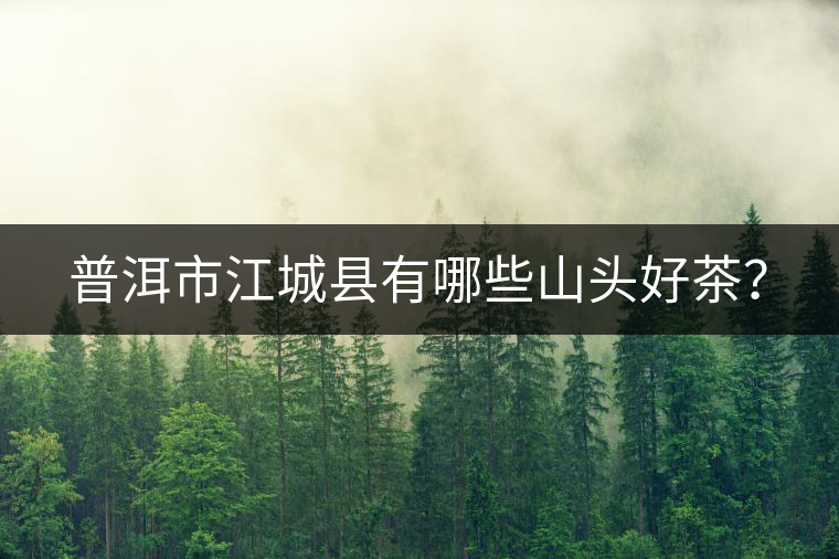 普洱市江城縣有哪些山頭好茶？