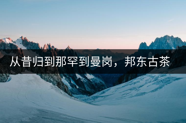 從昔歸到那罕到曼崗，邦東古茶藏著一條規(guī)律！