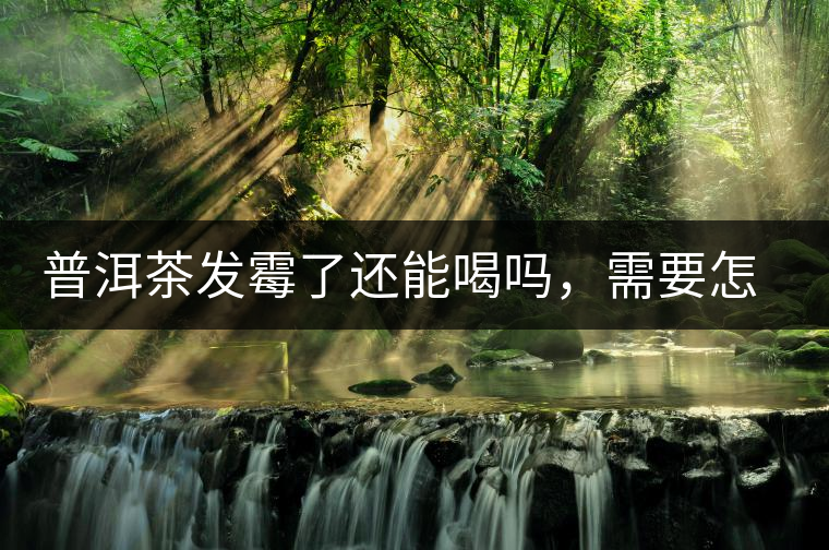 普洱茶發(fā)霉了還能喝嗎，需要怎么處理？