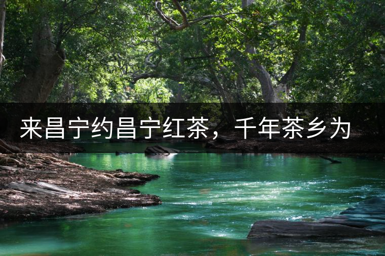 來昌寧約昌寧紅茶，千年茶鄉(xiāng)為您開啟生態(tài)之旅