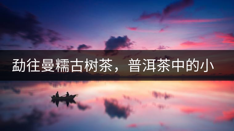 勐往曼糯古樹茶，普洱茶中的小班章