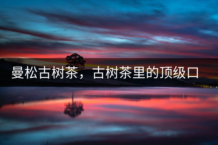 曼松古樹茶，古樹茶里的頂級(jí)口感