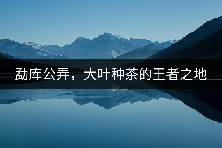 勐庫(kù)公弄，大葉種茶的王者之地