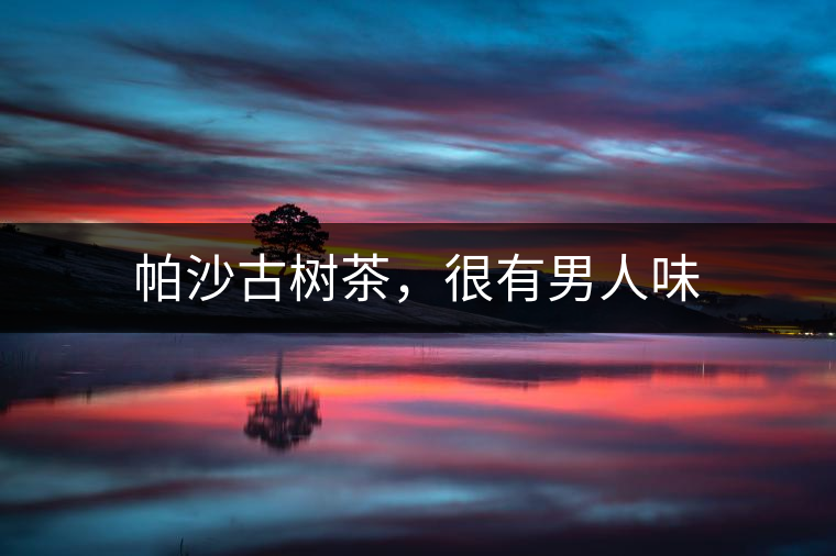 帕沙古樹(shù)茶，很有男人味