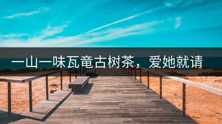 一山一味瓦竜古樹茶，愛她就請尊重她