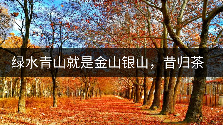 綠水青山就是金山銀山，昔歸茶農(nóng)唱著“茶歌”奔小康