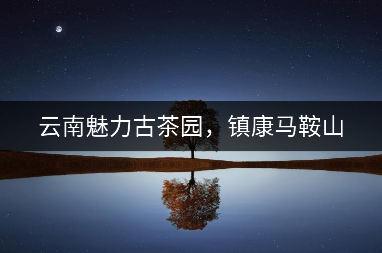 云南魅力古茶園，鎮(zhèn)康馬鞍山