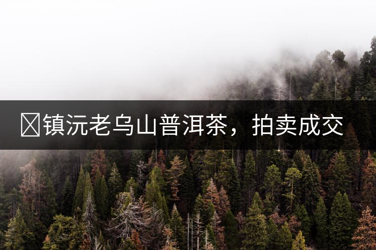 ?鎮(zhèn)沅老烏山普洱茶，拍賣成交價(jià)再創(chuàng)新高