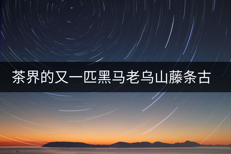 茶界的又一匹黑馬老烏山藤條古樹普洱茶特點(diǎn)介紹