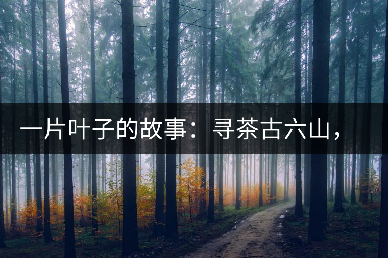 一片葉子的故事：尋茶古六山，倚邦最神秘