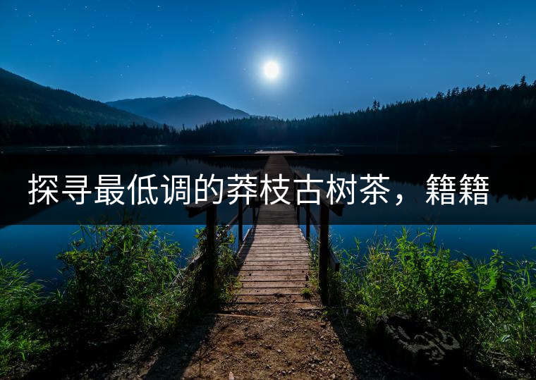 探尋最低調(diào)的莽枝古樹茶，籍籍無名出好茶