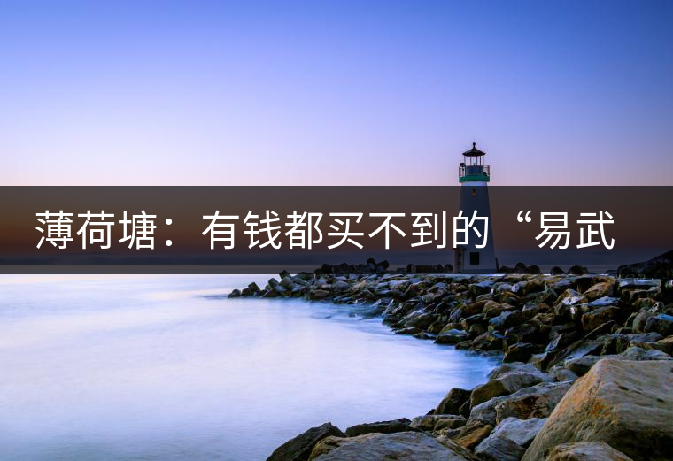 薄荷塘：有錢(qián)都買(mǎi)不到的“易武貴胄”，卓爾不群，無(wú)茶可及