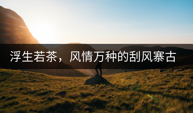 浮生若茶，風情萬種的刮風寨古樹茶