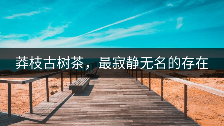 莽枝古樹茶，最寂靜無名的存在