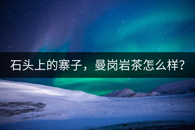 石頭上的寨子，曼崗巖茶怎么樣？