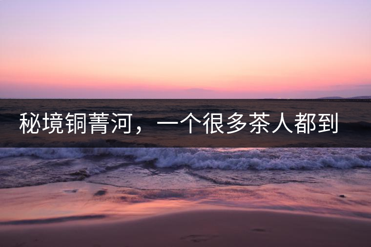 秘境銅菁河，一個很多茶人都到不了的地方