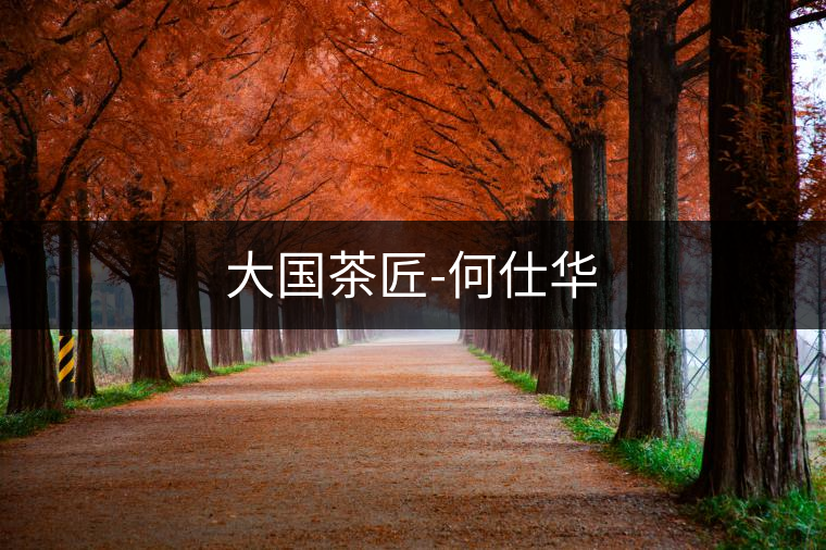 大國(guó)茶匠-何仕華