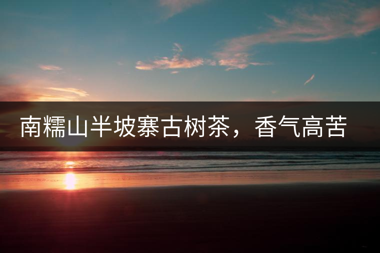 南糯山半坡寨古樹茶，香氣高苦味淡甜味重