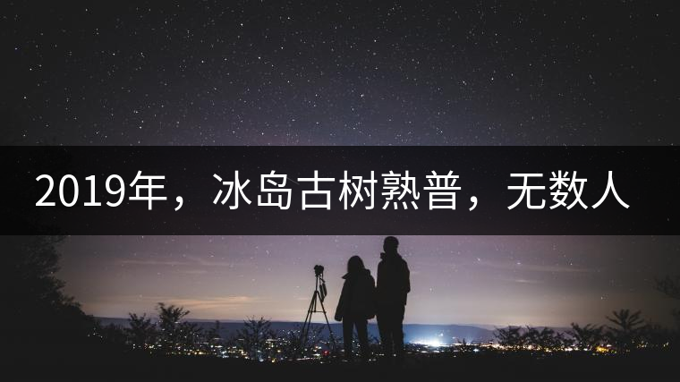 2019年，冰島古樹熟普，無數(shù)人在尋找