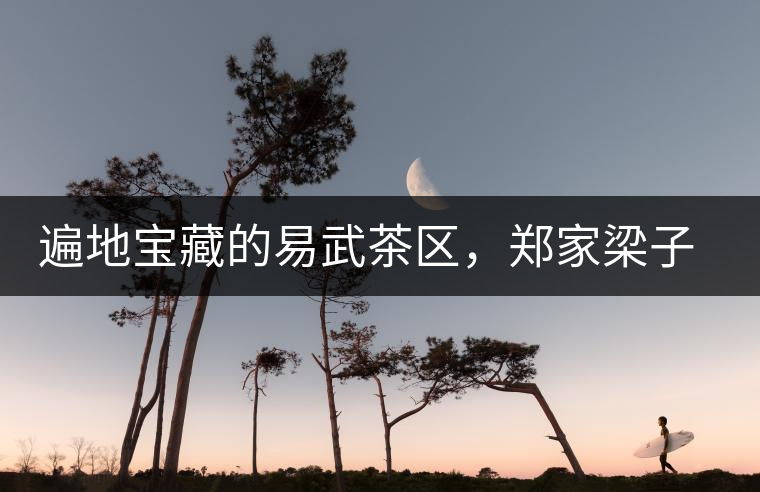 遍地寶藏的易武茶區(qū)，鄭家梁子荒田村古樹(shù)茶介紹