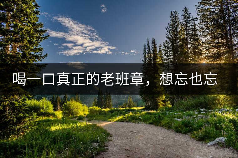 喝一口真正的老班章，想忘也忘不了的味道