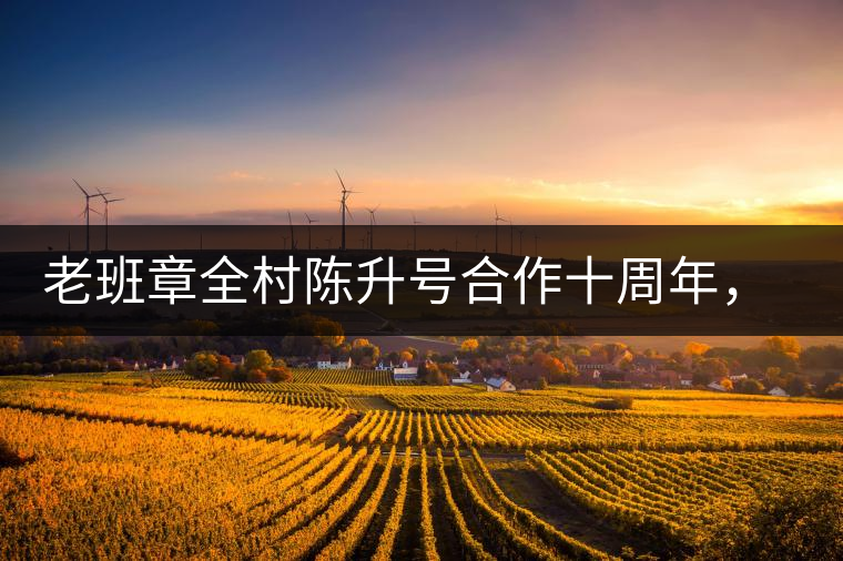 老班章全村陳升號(hào)合作十周年，贈(zèng)送千兩百家茶