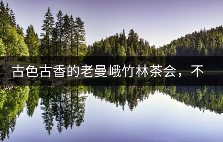 古色古香的老曼峨竹林茶會(huì)，不一樣的古樹(shù)茶