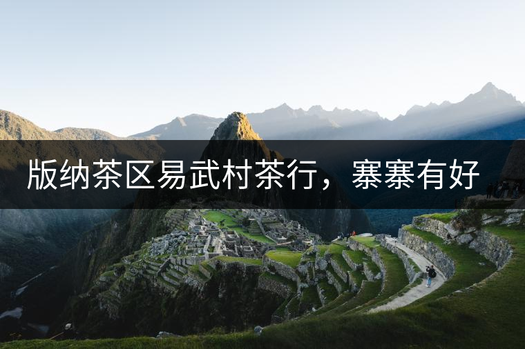 版納茶區(qū)易武村茶行，寨寨有好茶處處古茶香