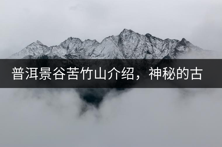 普洱景谷苦竹山介紹，神秘的古樹普洱茶原產(chǎn)地