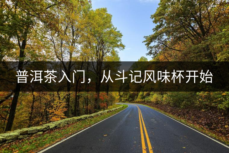 普洱茶入門，從斗記風(fēng)味杯開始