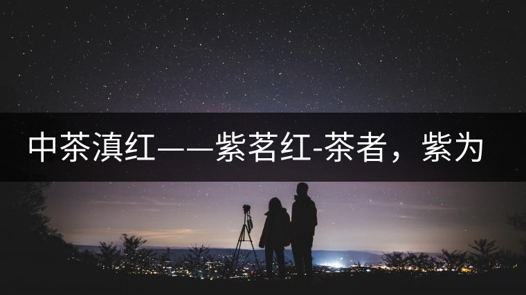 中茶滇紅——紫茗紅-茶者，紫為上