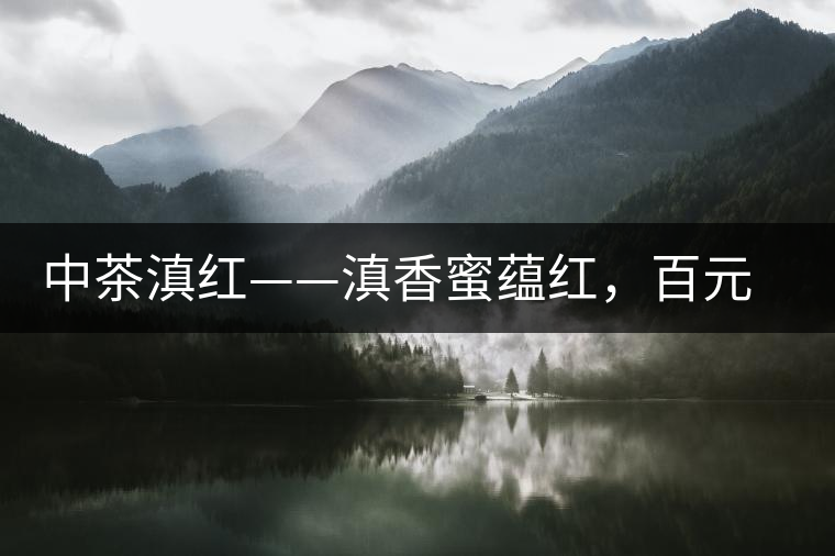 中茶滇紅——滇香蜜蘊紅，百元級口糧好茶