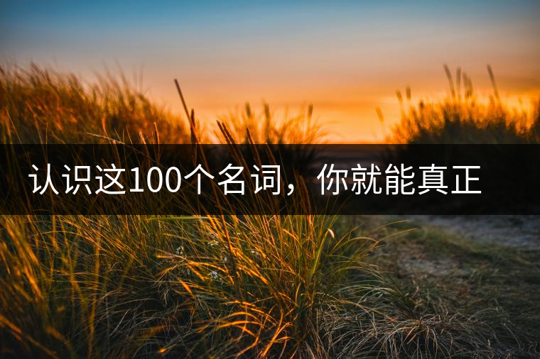 認識這100個名詞，你就能真正了解普洱茶？