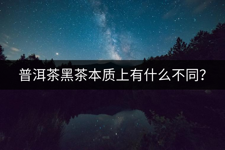 普洱茶黑茶本質(zhì)上有什么不同？