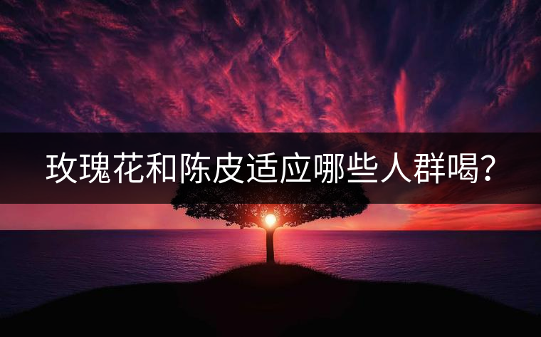 玫瑰花和陳皮適應(yīng)哪些人群喝？