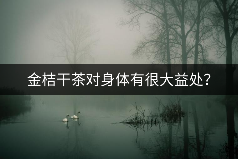 金桔干茶對身體有很大益處？