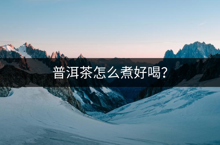 普洱茶怎么煮好喝？