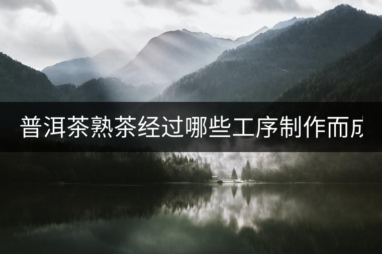 普洱茶熟茶經(jīng)過哪些工序制作而成？