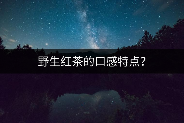 野生紅茶的口感特點？