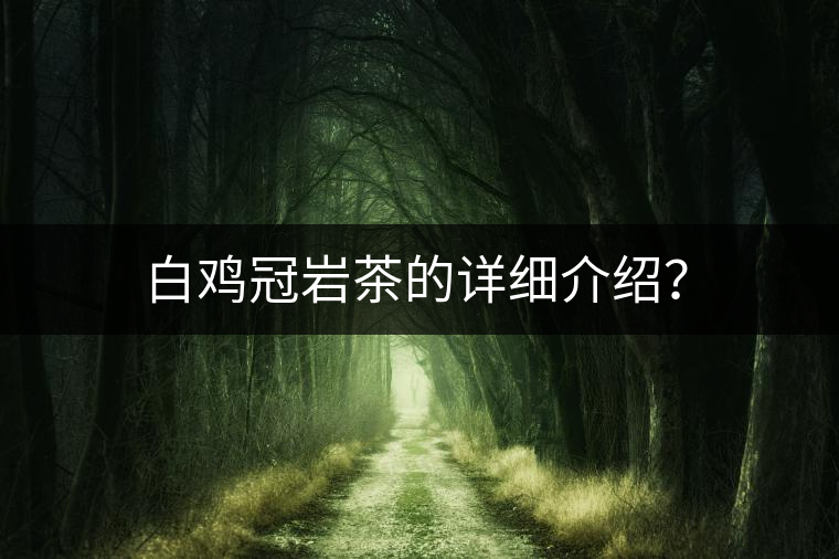 白雞冠巖茶的詳細(xì)介紹？