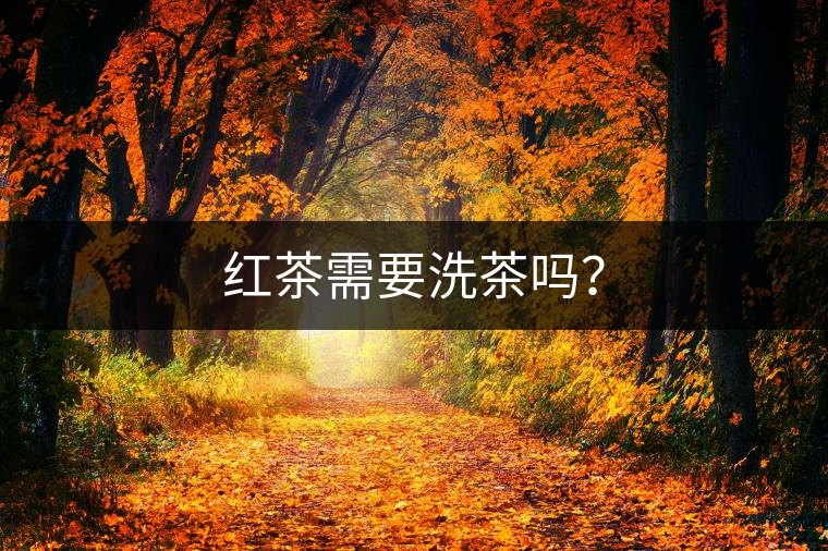 紅茶需要洗茶嗎？