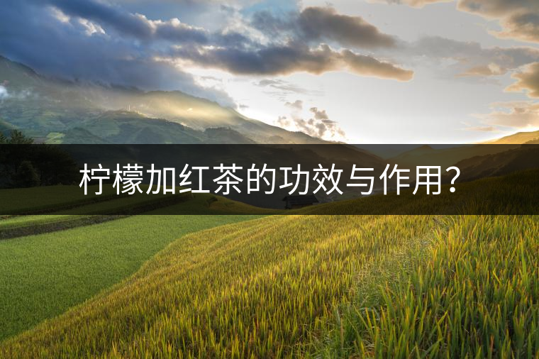 檸檬加紅茶的功效與作用？