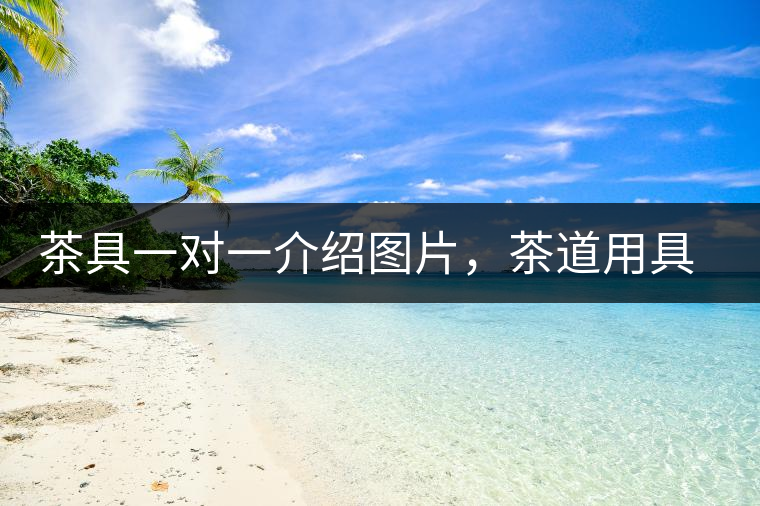 茶具一對(duì)一介紹圖片,茶道用具圖解 茶具一對(duì)一介紹圖片,茶道用具圖解