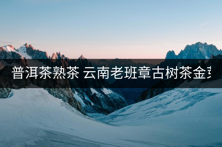 普洱茶熟茶 云南老班章古樹茶金芽特級(jí)熟茶357g大餅茶葉 久樽正品 普洱茶熟茶 云南老班章古樹茶金芽特級(jí)熟茶357g大餅茶葉 久樽正品