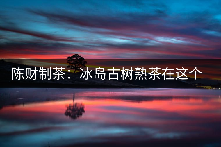 陳財制茶：冰島古樹熟茶在這個世界真的存在嗎？